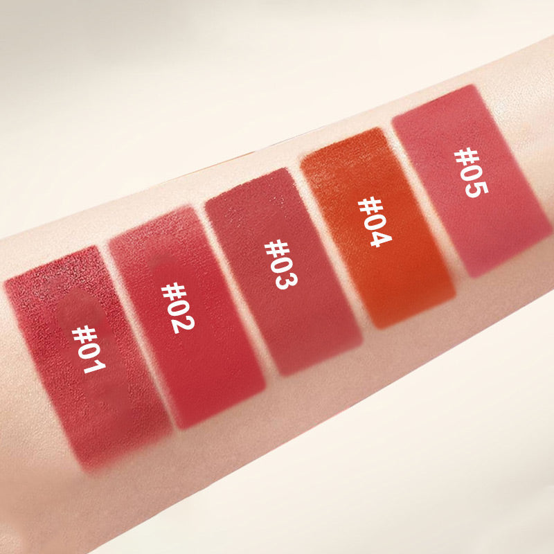 🎉Echte aanbieding🎉Multifunctionele langdurige lippenstift