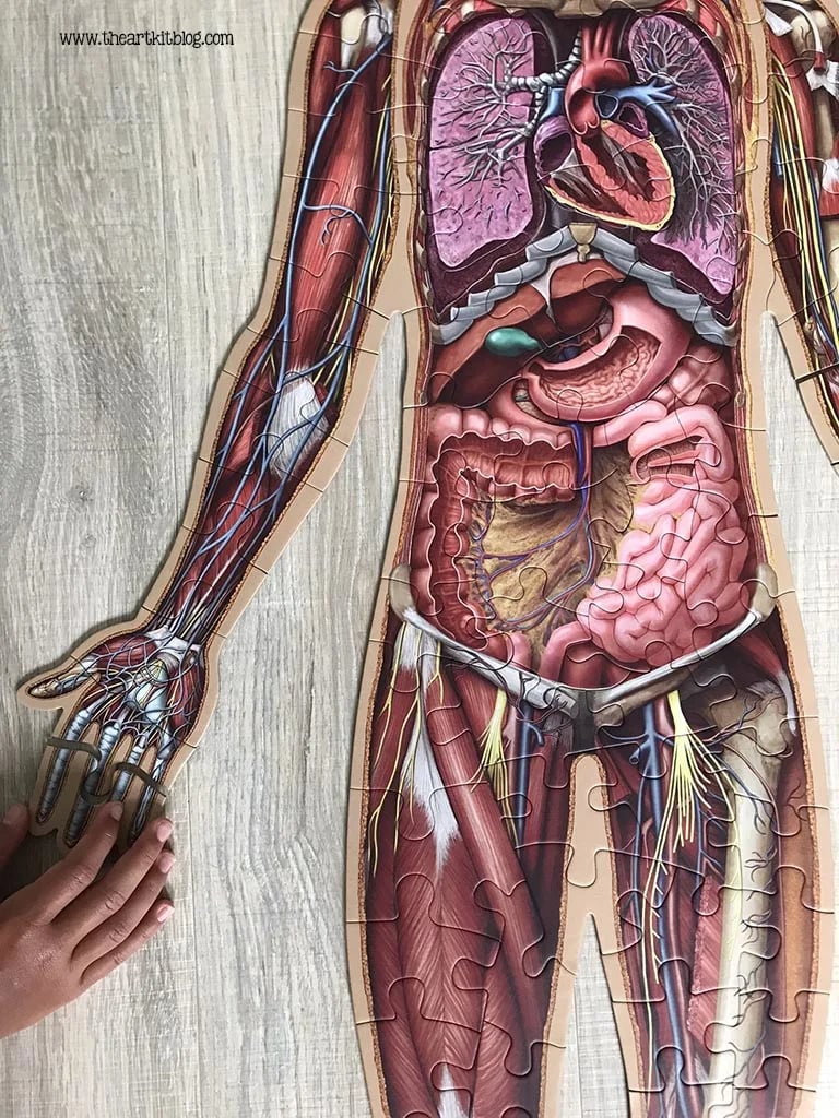 Vloerpuzzel voor kinderen met 100 stukjes van het menselijk lichaam