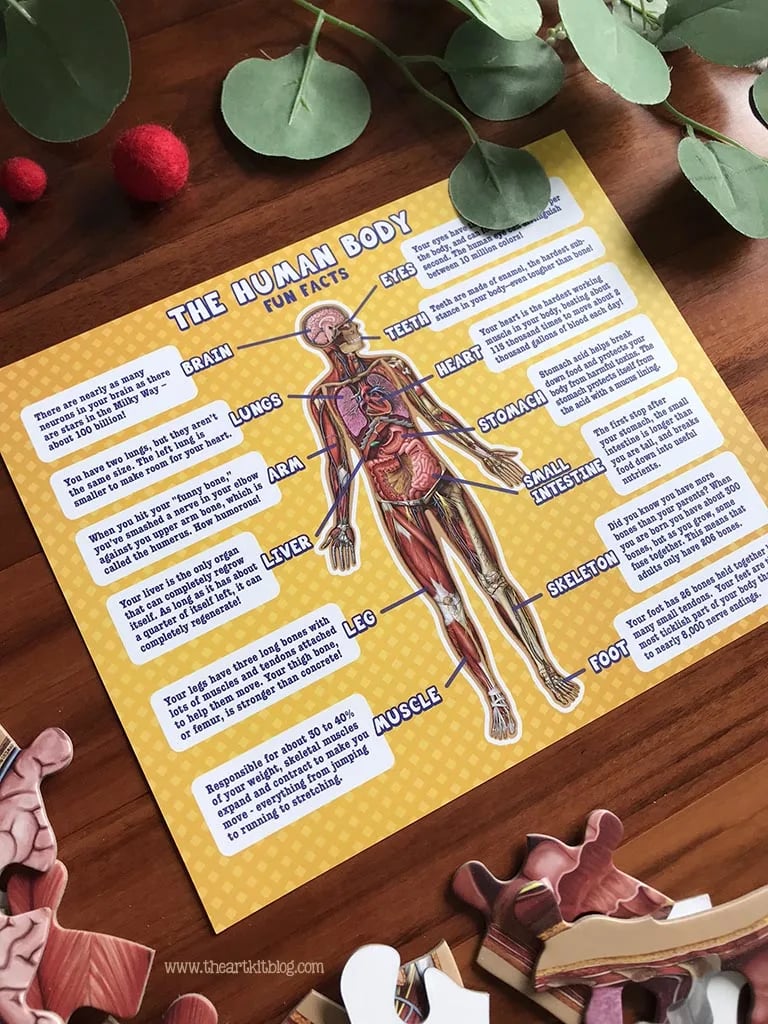 Vloerpuzzel voor kinderen met 100 stukjes van het menselijk lichaam