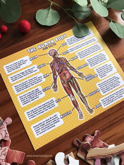 Vloerpuzzel voor kinderen met 100 stukjes van het menselijk lichaam