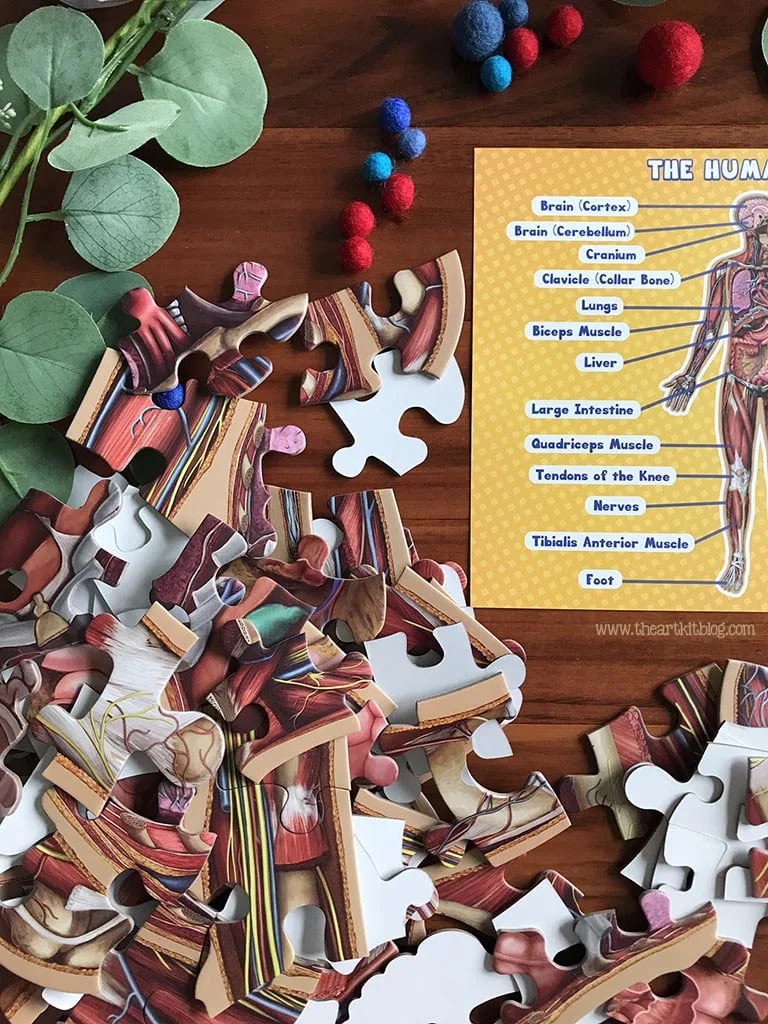 Vloerpuzzel voor kinderen met 100 stukjes van het menselijk lichaam