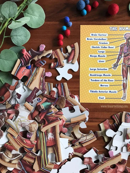 Vloerpuzzel voor kinderen met 100 stukjes van het menselijk lichaam