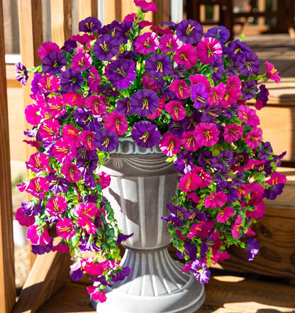 Het perfecte tuinornament - 🌺 Simulatie Eucalyptus Petunia Wijnstok