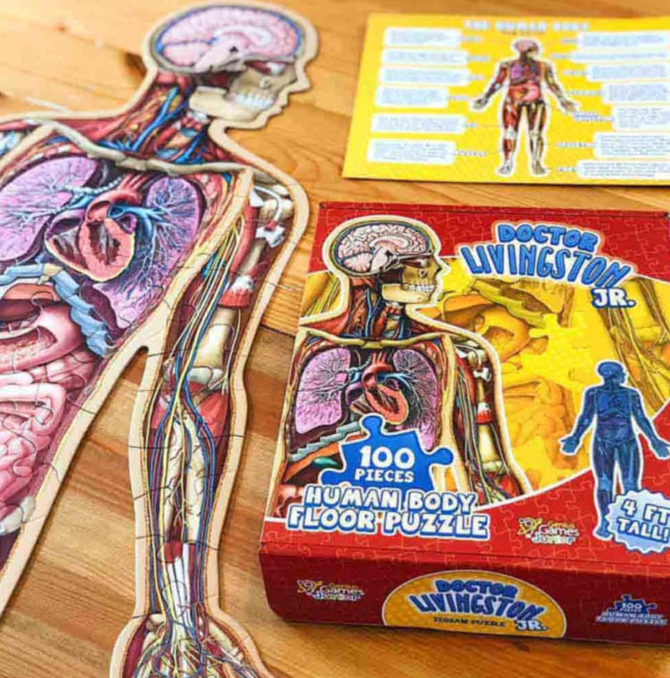 Vloerpuzzel voor kinderen met 100 stukjes van het menselijk lichaam