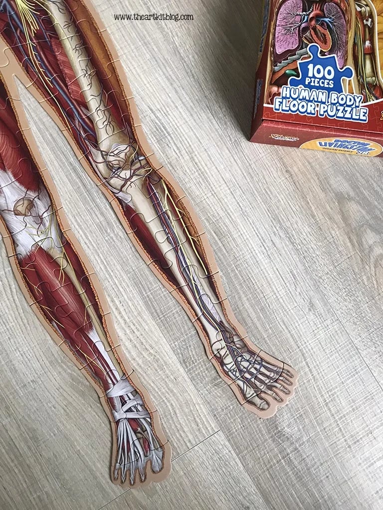 Vloerpuzzel voor kinderen met 100 stukjes van het menselijk lichaam
