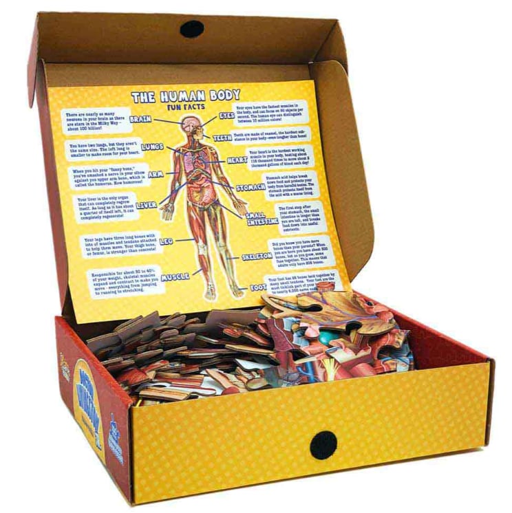 Vloerpuzzel voor kinderen met 100 stukjes van het menselijk lichaam